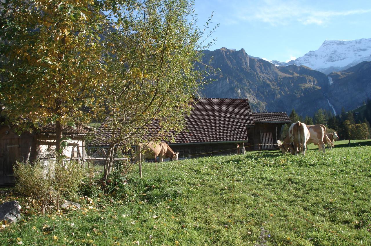 Apartamento Bergdohle Adelboden Exterior foto
