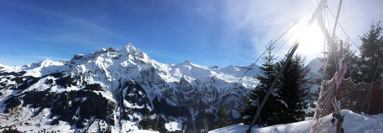 Apartamento Bergdohle Adelboden Exterior foto