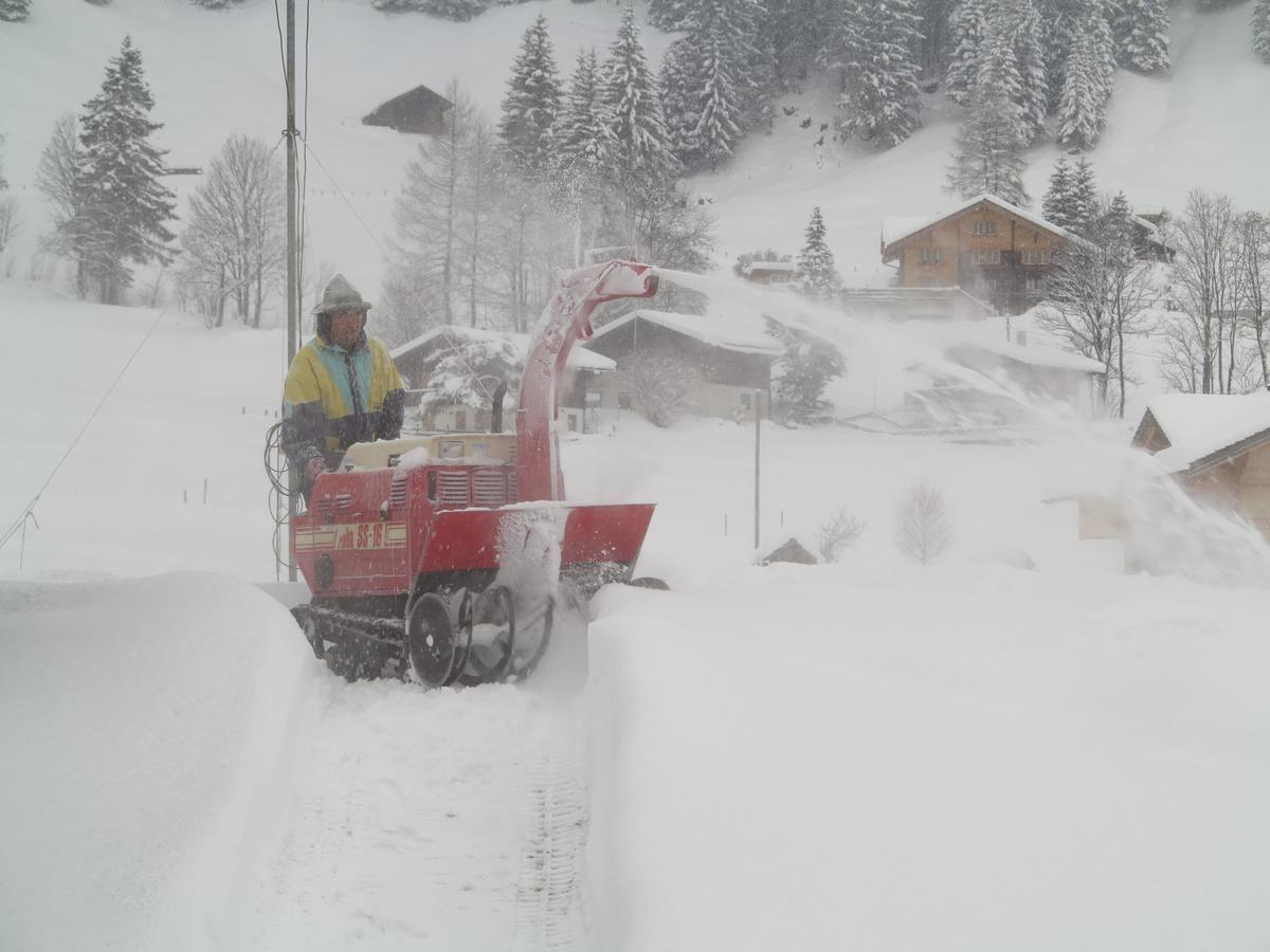 Apartamento Bergdohle Adelboden Exterior foto