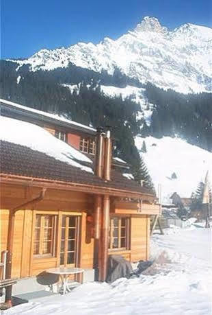 Apartamento Bergdohle Adelboden Exterior foto